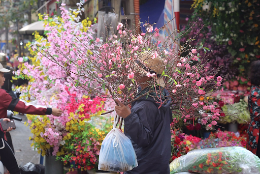 Bước chân trở lại